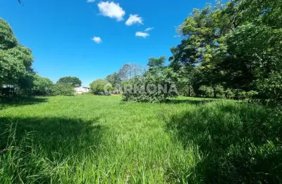 Terreno comercial à venda na Rua José Galindo Garcia, 463, Jardim Verão, Sarandi por R$ 480.000