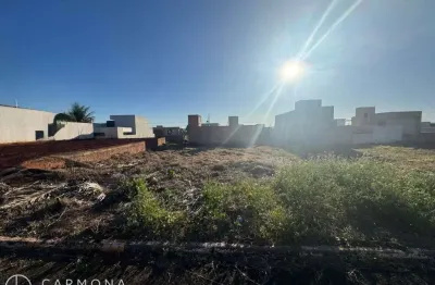 Terreno à Venda na Parte Alta do Bairro  12,48m x 29m | Próximo ao Portal e Av. Mandacaru | Região de Alto Padrão e Grande Valorização!