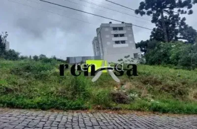 Terreno à venda no Salgado Filho, Caxias do Sul 