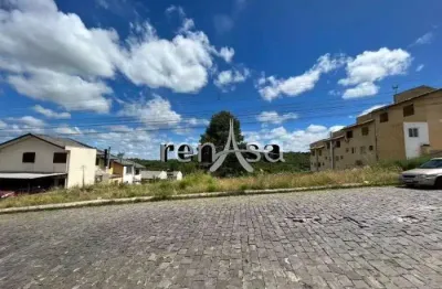 Terreno à venda na Cidade Industrial, Caxias do Sul 