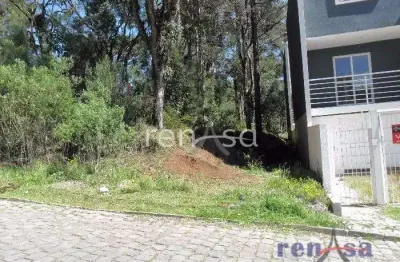 Terreno à venda na Vila Alpina, Caxias do Sul 