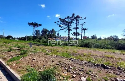 Terreno à venda no Desvio Rizzo, Caxias do Sul 