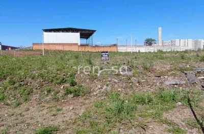 Terreno à venda no Desvio Rizzo, Caxias do Sul 
