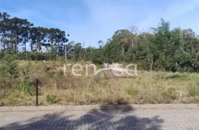 Terreno para venda, ana rech, caxias do sul - te8585