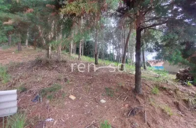 Terreno à venda na Colina Sorriso, Caxias do Sul 