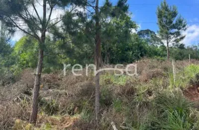 Terreno à venda no Monte Bérico, Caxias do Sul 