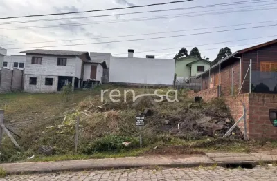 Terreno para venda,  desvio rizzo, caxias do sul - te8784