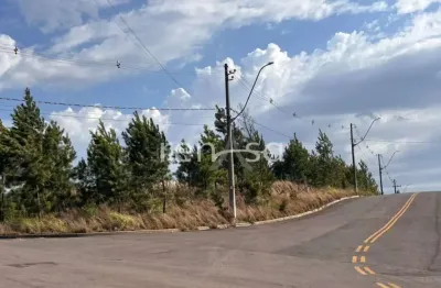 Terreno em avenida para venda,  reserva do vale, caxias do sul - te8858
