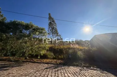 Terreno para venda,  nossa senhora das graças, caxias do sul - te8804