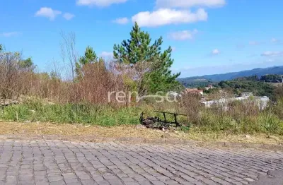 Terreno para venda,  nossa senhora das graças, caxias do sul - te8799