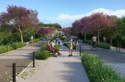 Terreno à venda no São Gotardo (Distrito), Flores da Cunha 