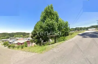Terreno avenida para venda,  jardim iracema, caxias do sul - te8912