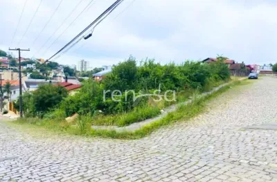 Terreno à venda no Sanvitto, Caxias do Sul 
