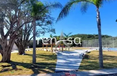 Terreno para venda,  - Selecione - Bairro São Giacomo, Caxias Do Sul - TE8998