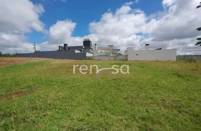 Terreno à venda no Monte Bérico, Caxias do Sul 