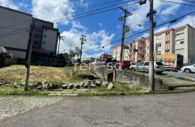 Terreno à venda no São Pelegrino, Caxias do Sul 