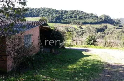 Chácara / sítio com 1 quarto à venda em Loreto, Caxias do Sul 