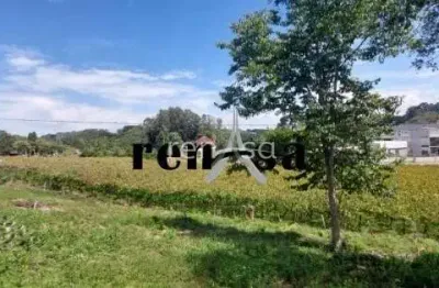 Terreno à venda no Monte Bérico, Caxias do Sul 