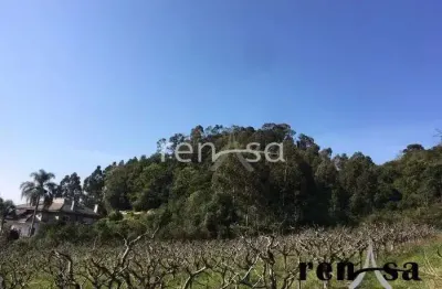 Terreno à venda em Zorzi, Caxias do Sul 
