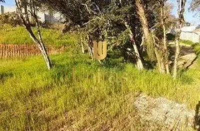 Terreno à venda na rua leonardo difert, 800, barro preto, são josé dos pinhais por r$ 450.000