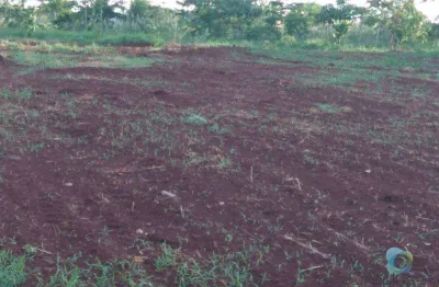 Terreno à venda, 1500 m² uso misto - city ribeirão - ribeirão preto/sp