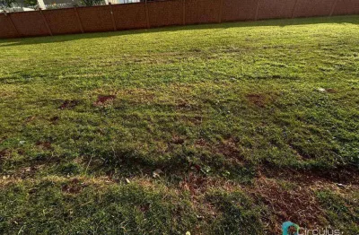 Terreno à venda, 250 m² por r$ 490.000,00 - alphaville - ribeirão preto/sp
