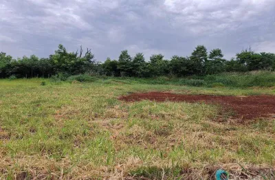 Terreno uso misto à venda, 1500 m² - city ribeirão - ribeirão preto/sp