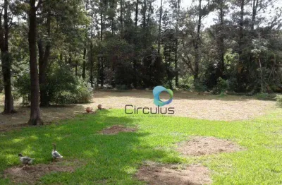 Chácara à venda ideal para construir predio residencial popular, 6789 m² por r$ 2.000.000 - jardim itaú - ribeirão preto/sp