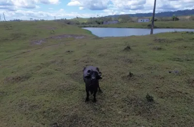Fazenda à venda no Hernani Sá, Ilhéus 