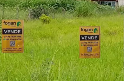 Terreno de chácara na estrada  do limoeiro (sem benfeitorias) 2.103m2