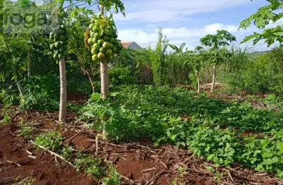 Terreno à venda na Estrada Chácara Três Marias, 000, Zona Rural, Ibiporã