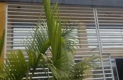 Casa com 1 quarto para alugar na Avenida Robert Koch, 776, Operária, Londrina