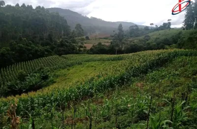 Chácara / sítio à venda no Centro, Presidente Nereu 