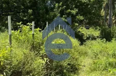 Terreno em área litoranea de São Miguel dos Milagres, Alagoas, 5.850m2