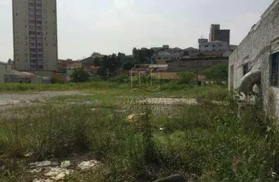 Terreno, 4200 m² - venda por r$ 9.000.000,00 ou aluguel por r$ 37.600,00/mês - vila lucinda - santo andré/sp