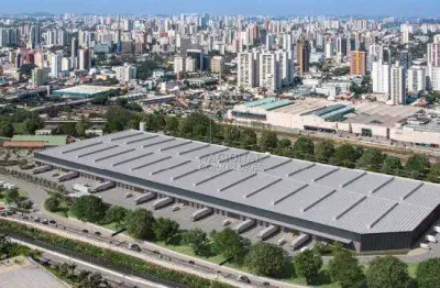 Galpão em condomínio para aluguel, 5 vagas, bangú - santo andré/sp