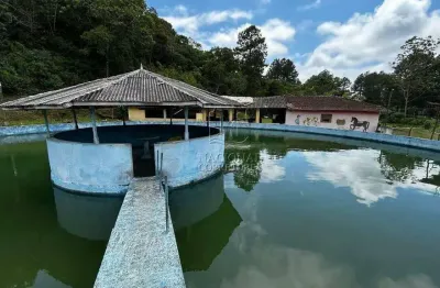 Chácara / sítio à venda na Chácara São Lucido, Mauá 