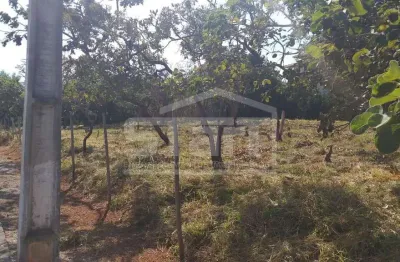 Lote em Condomínio fechado, Mirante da Lagoa     Oportunidade Única