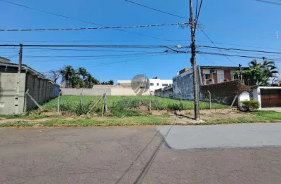 Terreno à venda na Rua Carolina Prado Penteado, 1364, Nova Campinas, Campinas por R$ 1.998.000