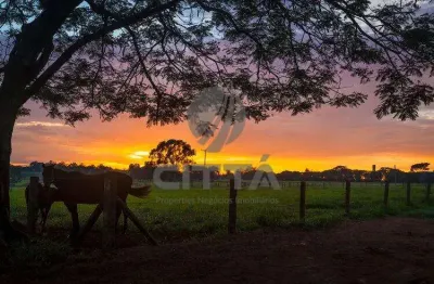 Terreno em condomínio fechado à venda na Avenida Haras Patente, Residencial Haras Patente, Jaguariúna por R$ 1.210.000