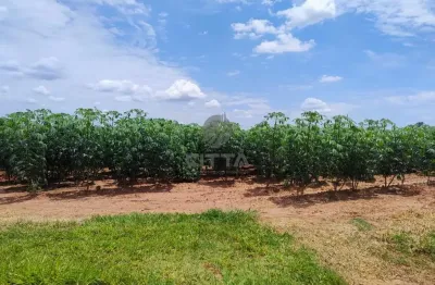 Terreno comercial à venda na Rodovia Professor Zeferino Vaz, KM 150, 01, Sítio Novo, Artur Nogueira por R$ 5.000.000