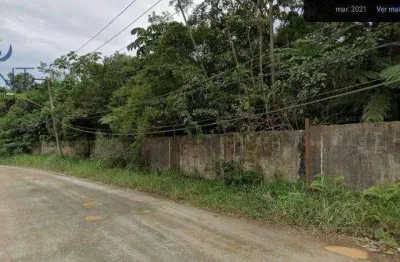 Área à venda, 15000 m² por R$ 4.500.000,00 - Fazenda Aya - Suzano/SP