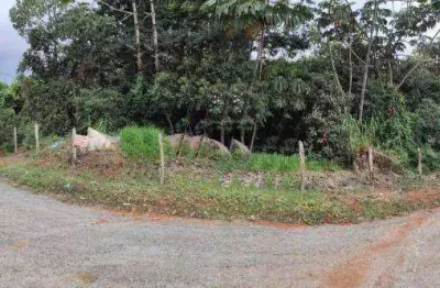 Terreno à venda, 1750 m² por R$ 268.000,00 - Jardim Silvestre - Suzano/SP