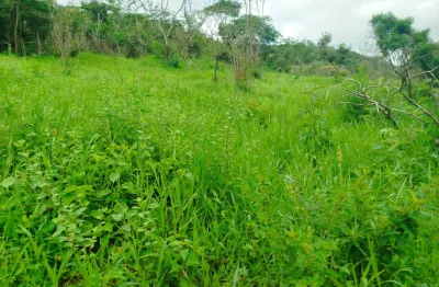 Fazenda com 1 sala à venda na Rua Bias Fortes, SN, Zona Rural, Almenara