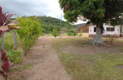 Fazenda com 1 sala à venda na Rua Bias Fortes, SN, Zona Rural, Almenara