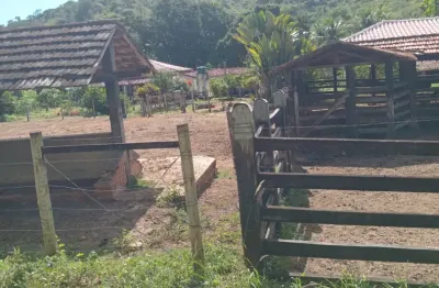 Fazenda com 1 sala à venda na Rua Bias Fortes, SN, Zona Rural, Almenara
