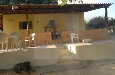 Sítio para Venda em Nossa Senhora do Livramento, ZONA RURAL, 1 dormitório, 1 banheiro