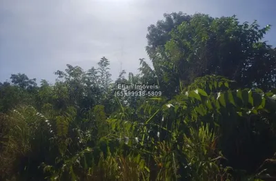 Terreno à venda em zona rural em Santo Antônio de Leverger-MT