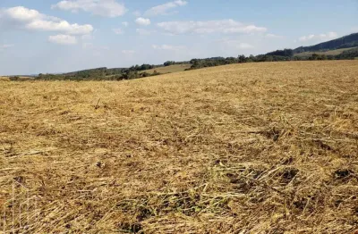 Chácara / sítio à venda no Centro, Jaguariaíva 