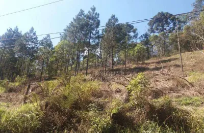 Terreno à venda, 6756 m² por r$ 385.000,00 - chácara santa rita (ouro fino paulista) - ribeirão pires/sp